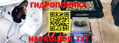ГАЛЛЮЦИНОГЕННЫЕ ГРИБЫ Тверь
