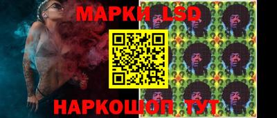 гидропоника Тара