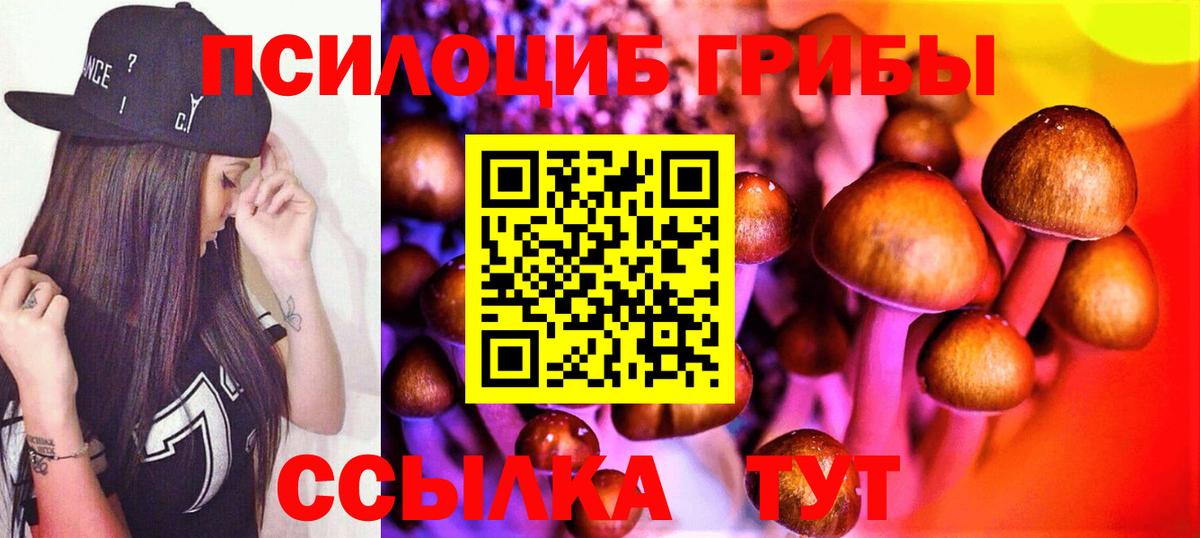Солнечногорск  Псилоцибиновые грибы ЛСД  Вход с VPN 